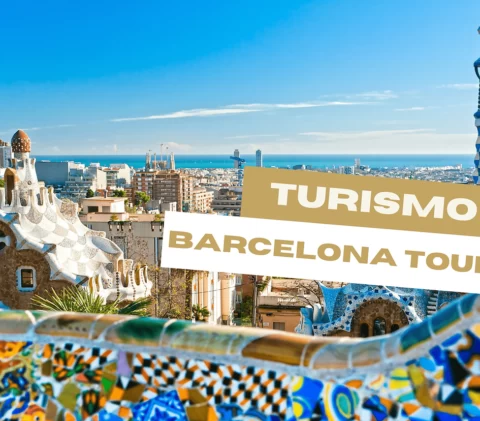 Image Not Found On Media Library