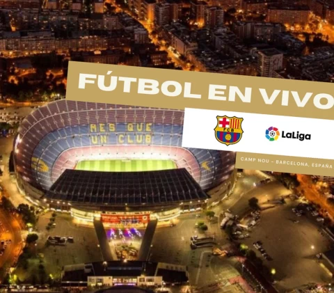 Image Not Found On Media Library