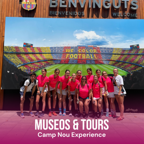 Image Not Found On Media Library