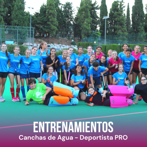 Image Not Found On Media Library