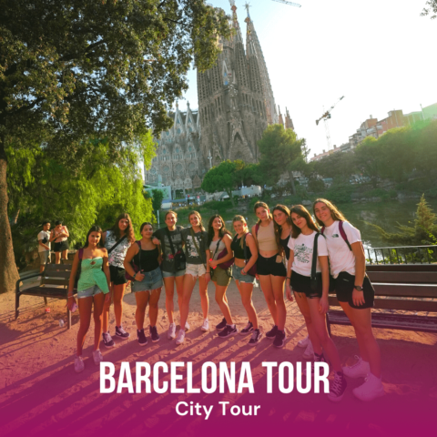 Image Not Found On Media Library