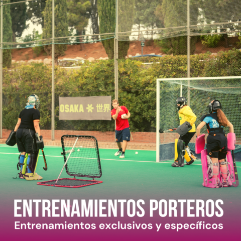 Image Not Found On Media Library