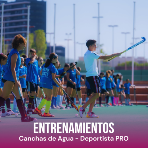 Image Not Found On Media Library