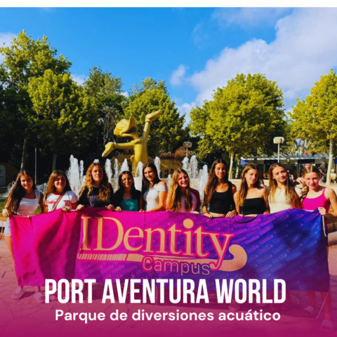 Image Not Found On Media Library